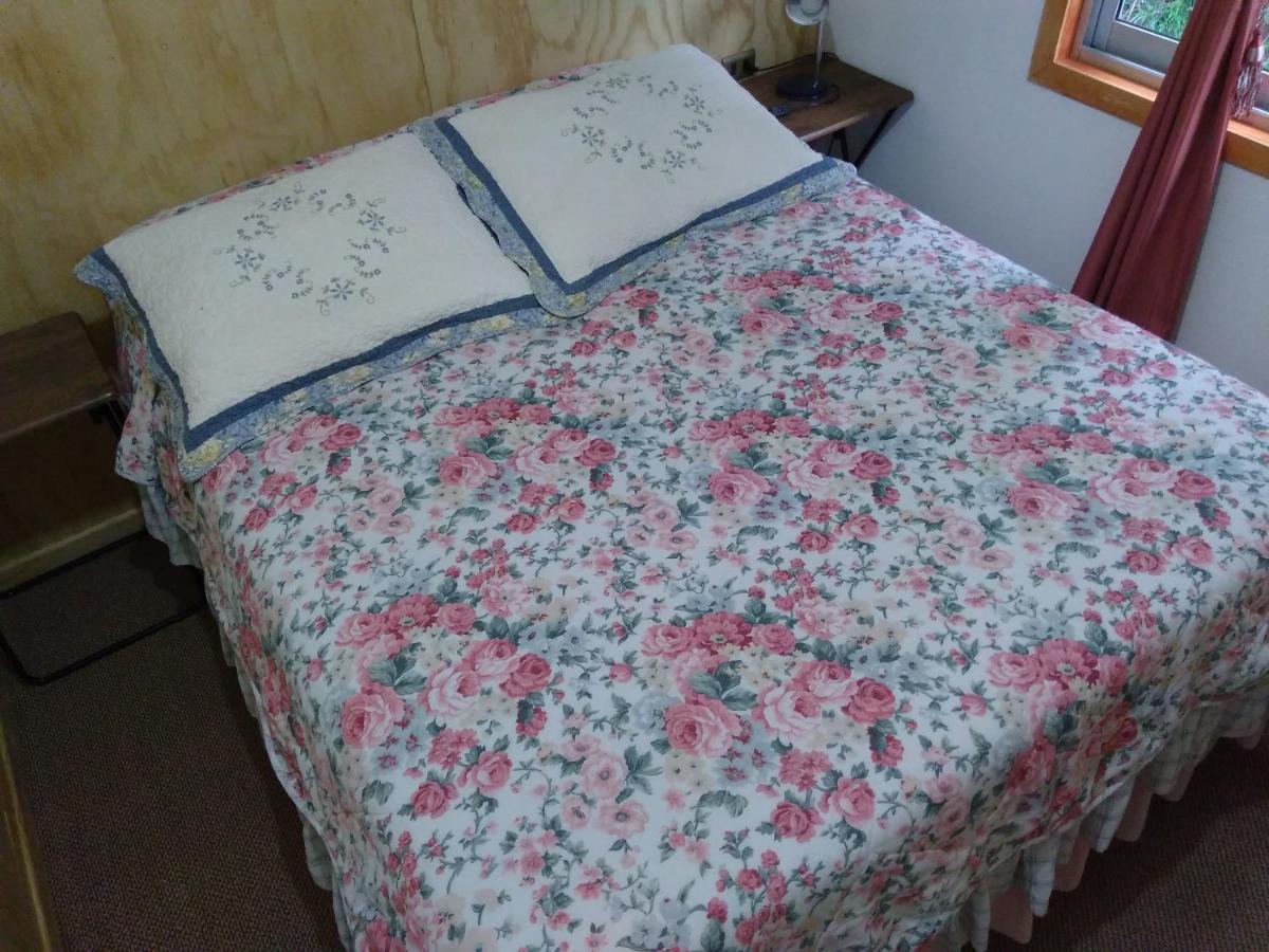 Bed and Breakfast Flor/Victoria Villarrica Zewnętrze zdjęcie