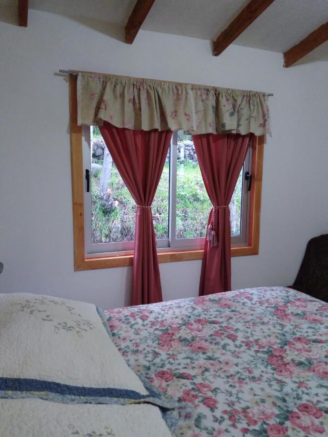 Bed and Breakfast Flor/Victoria Villarrica Zewnętrze zdjęcie